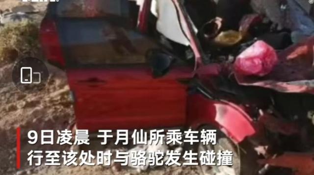 "谢大脚"于月仙车祸现场太惨烈,目击者称遍地骆驼内脏