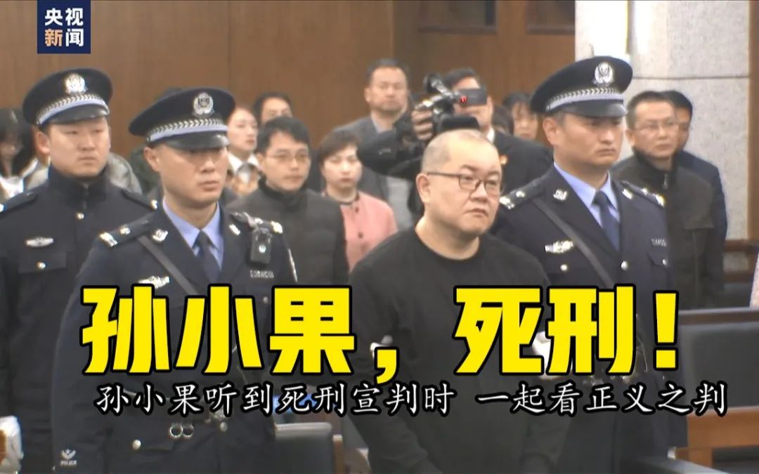 2020年,孙小果被执行死刑.