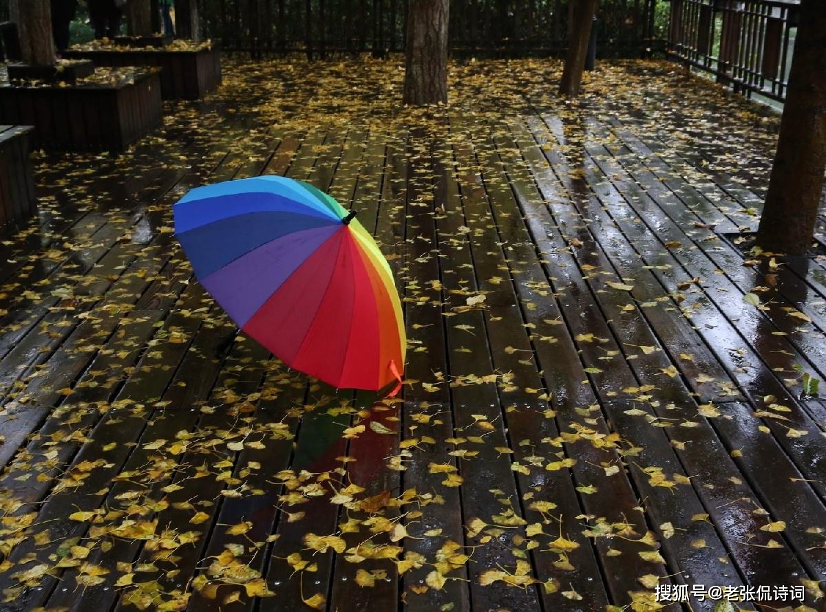 李商隐和秋天来搭配,最经典的,莫过于这首《夜雨寄北》: 君问归期未