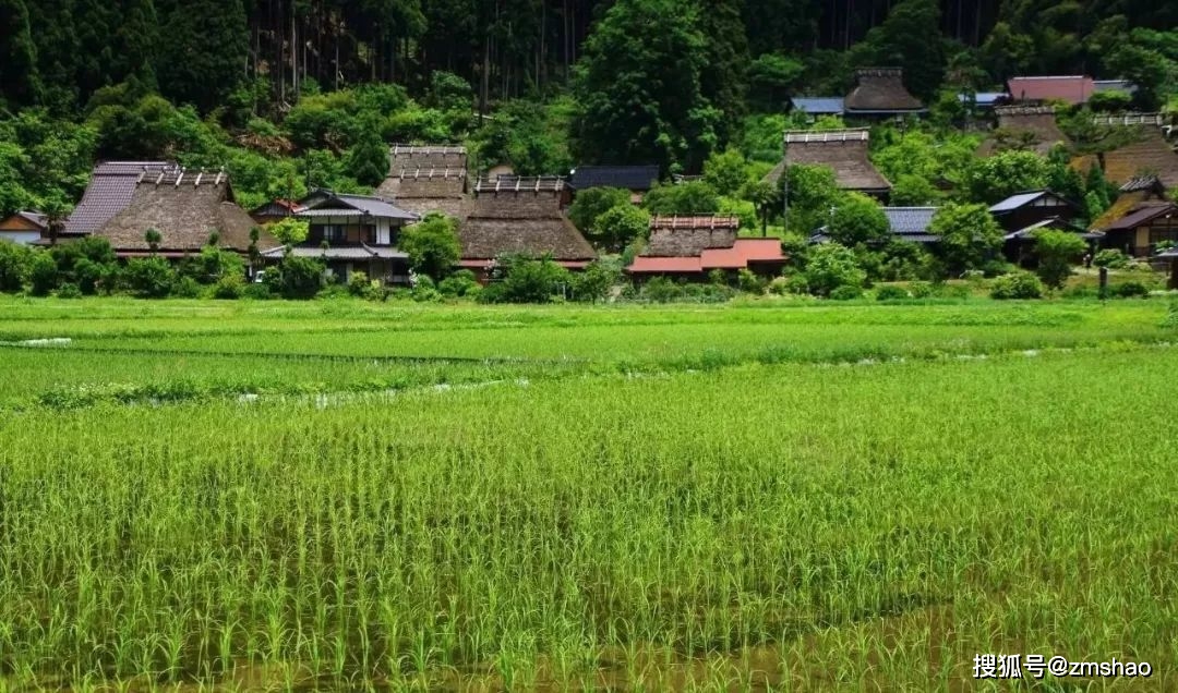 直击最真实又美丽的日本乡村