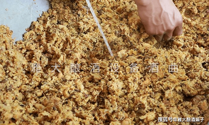 贵州大山里随处可见的野果,用电加热酿酒设备酿成酒更美味