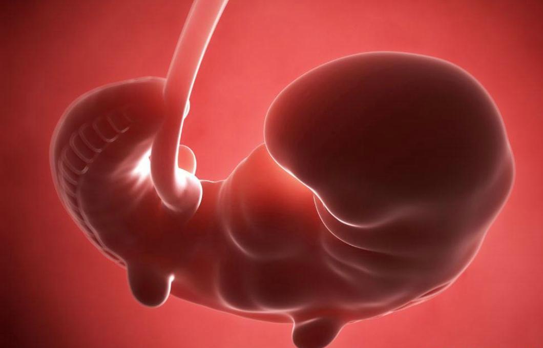 原创孕妈第一次产检这三项指标别不在意和胎儿的健康息息相关
