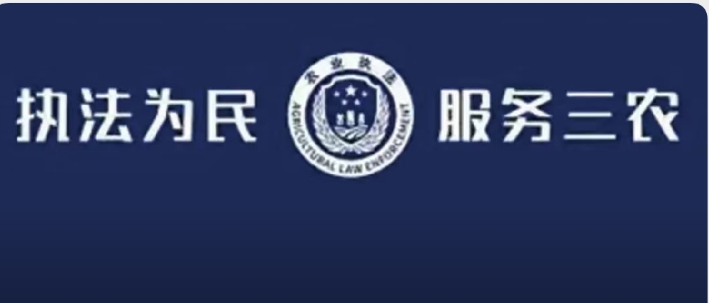 大荔县:农业综合执法大队开展畜牧专项"铁拳"整治行动