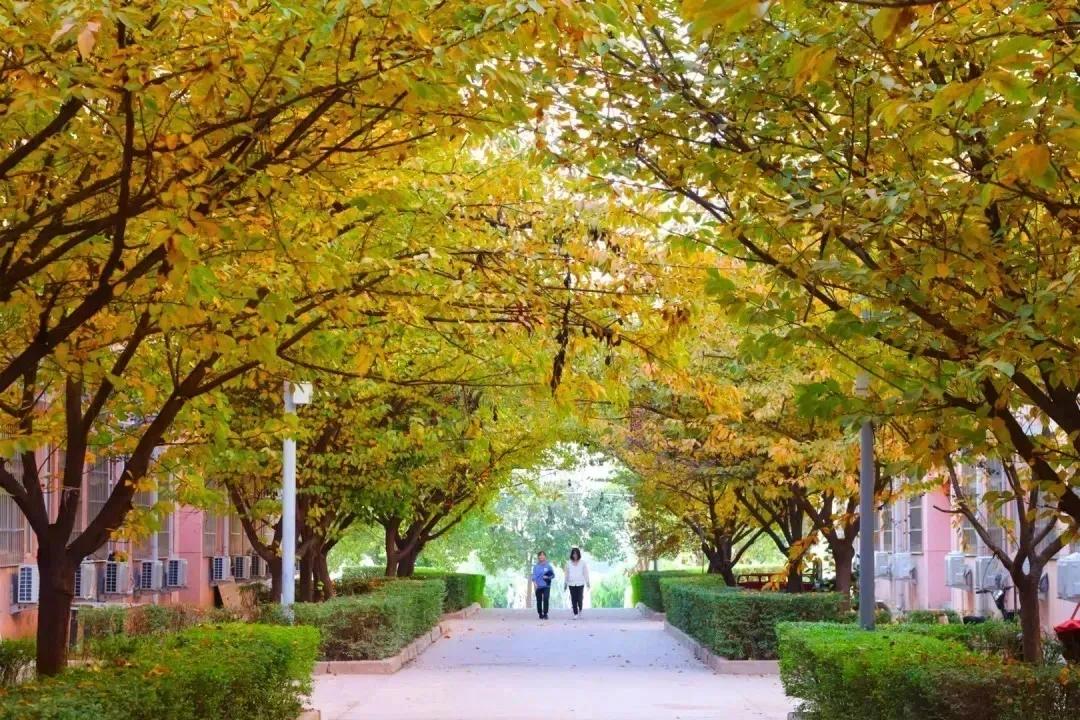 萌新攻略 | 带你身临其境模拟西安财经大学行知学院校园生活