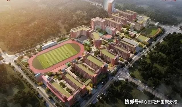 重庆科学城实验一小西丰小学校,重庆科学城育英永佳小学校,重庆科学