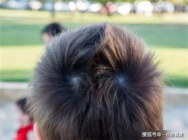 快;还有"一个旋硬,两个旋横,三个旋打仗不要命,四个旋拉屎不开腚"