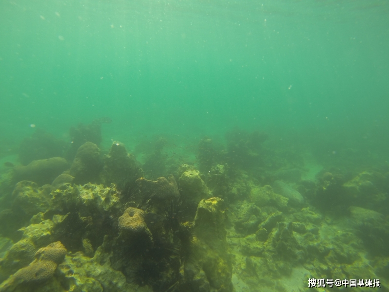 原创香港大学生态学家利用海底沉积物重构香港百年海洋生态历史