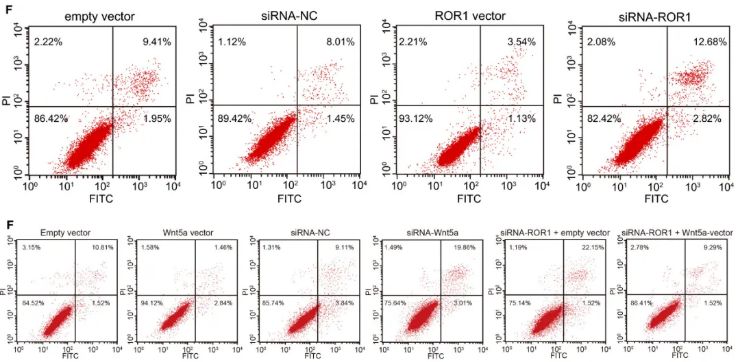 凋亡实验结果:ma等人figure 5,流式细胞仪检测a549细胞凋亡实验结果