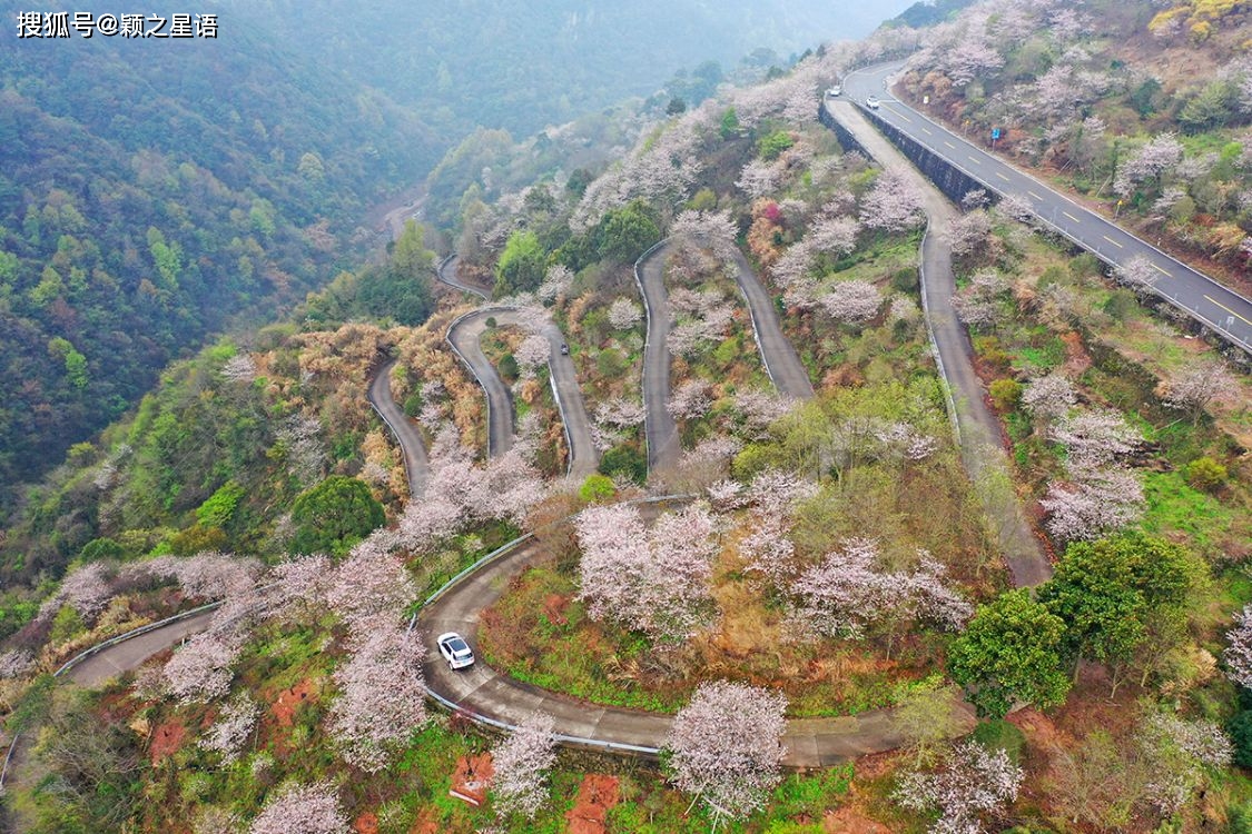 三处盘山公路,迂回婉转,公路之美,在于曲线美