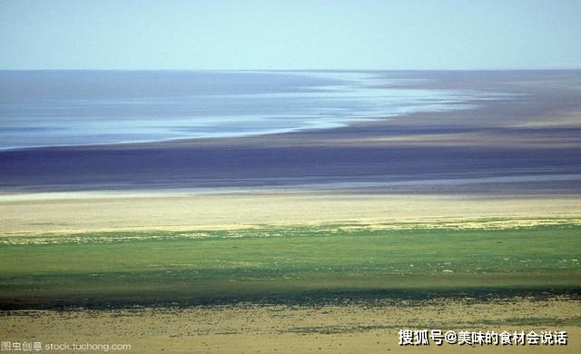 此湖原是世界第四大湖已有550万年历史两年后或完全消失