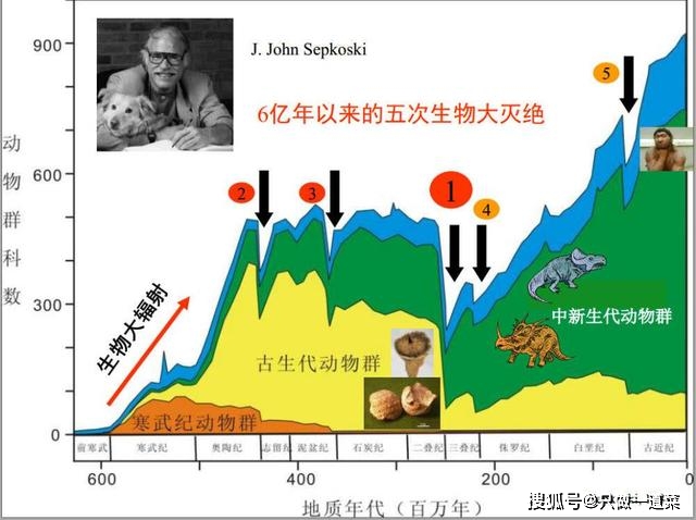 原创史上最严重的生物大灭绝火山持续喷发50万年90生物灭绝