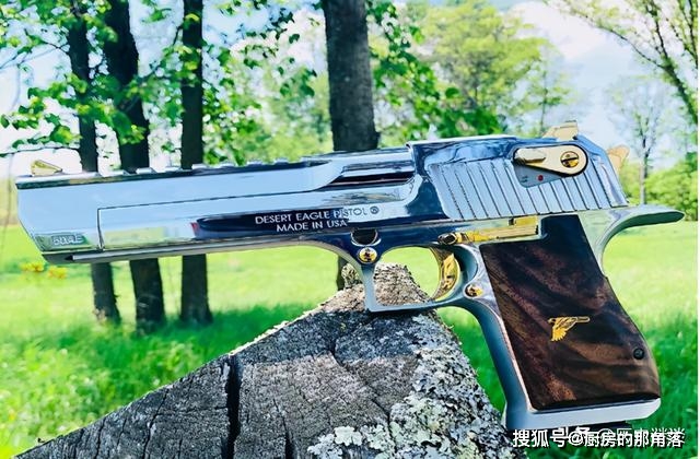 沙漠之鹰威力巨大,为何士兵却鲜少用?老兵:实战犹如烧火棍