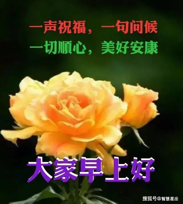 早安2021初秋图片,早安图片2021新图片 原创初秋最好看的早安祝福唯美图片带字 最新温馨的早晨好短信