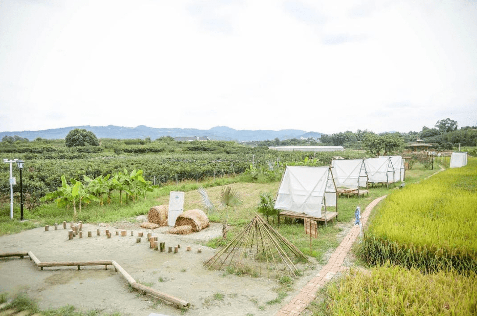 成都秋日好玩农场3大隐秘田园生活1h随便玩