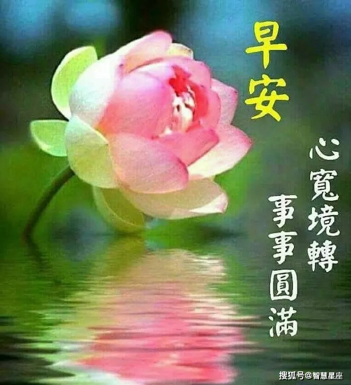 朋友圈清晨早上好正能量问候祝福语录图片,早上好短信