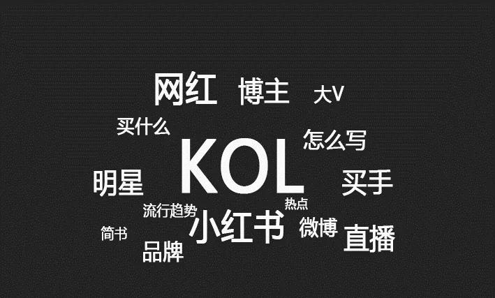 一文读懂如何让kol为你带货