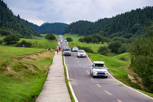 百车自驾仙女山最美公路 沿途风景令人陶醉