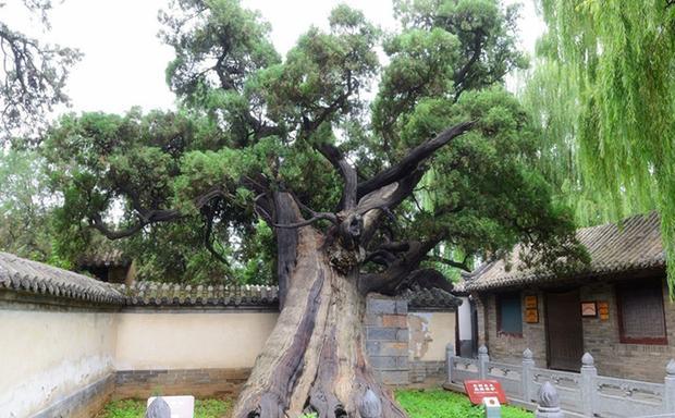 原创古代四大书院之一,更是千年前的中国"学术中心",此地至今犹在