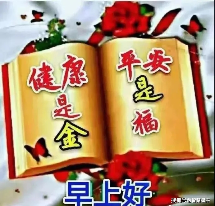 9月19日清晨最美早上好鲜花图片问候语,最新版早上好漂亮表情图片祝福