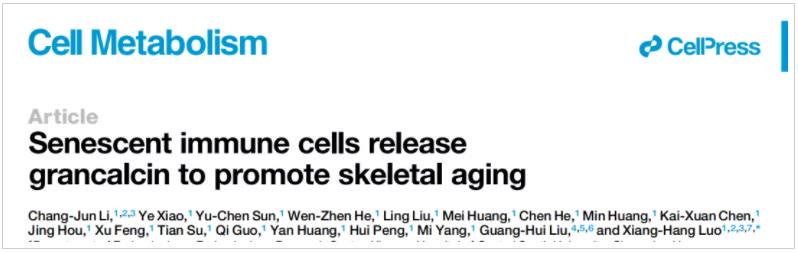 中南大学湘雅医院罗湘杭团队发表免疫细胞调控骨衰老新机制