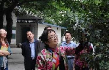 歌手谢莉斯突发脑梗,后其女又患绝症,2重打击下坚强度