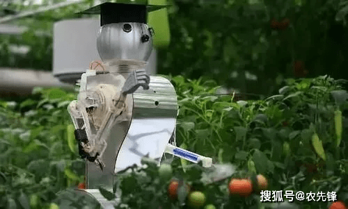 国内外温室园艺机器人的研究和应用现状