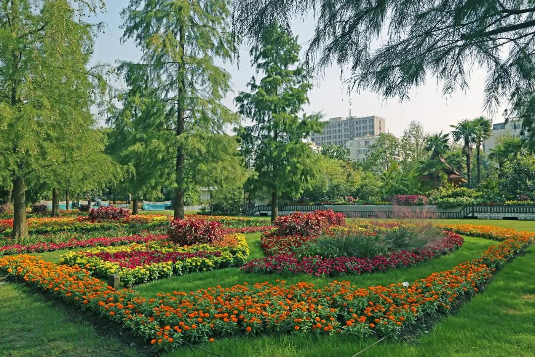 2021上海植物园秋季花展今日亮相