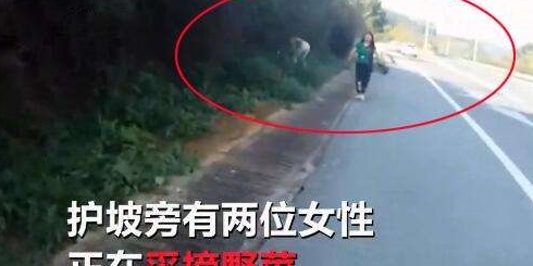 两女子高速路边上厕所顺便摘野菜 回来一看懵住了:车呢?_高速公路