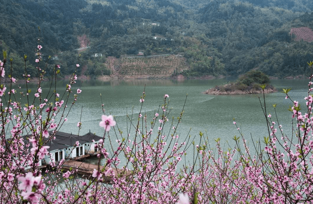 湖南这处秀美湖景,风景不输杭州西湖,门票免费名气却不高