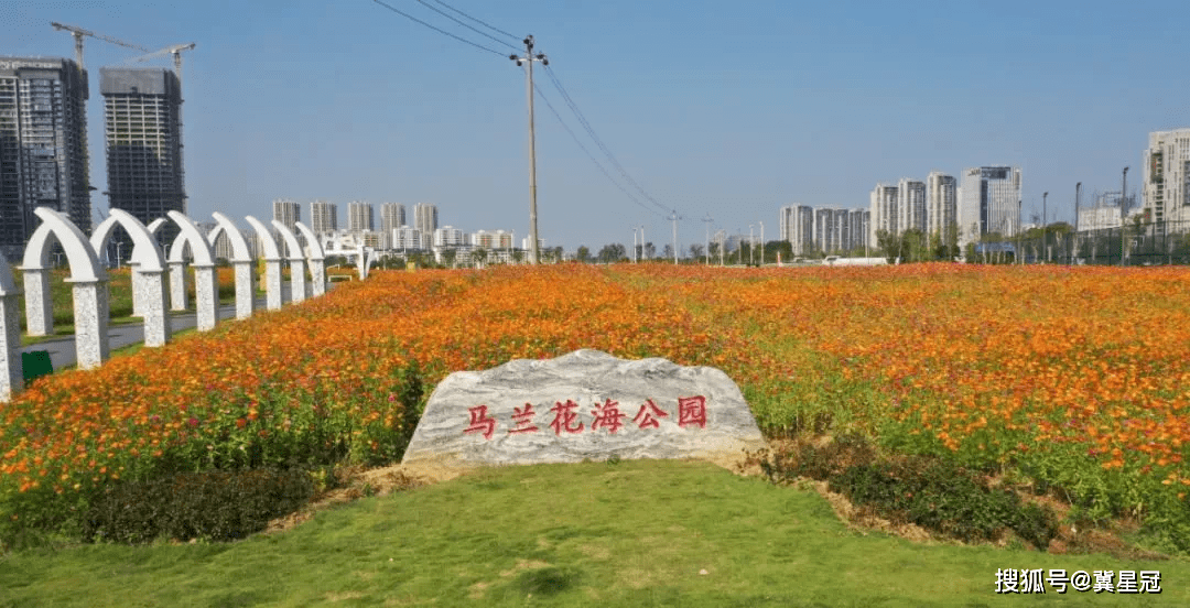 为南昌美丽画卷添彩,马兰花海公园悬浮地板运动场投入