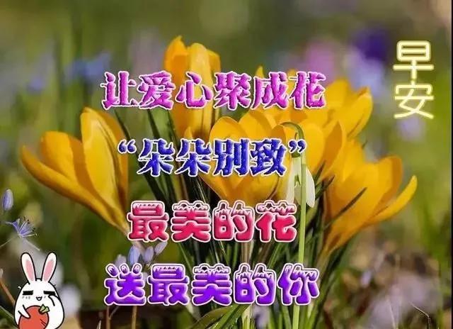 秋季分享朋友圈很热门的正能量问候语图片早上好动图
