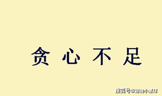 (孙权)以鞭指操曰:"丞相坐镇中原,富贵已极,何故贪心不足,又来侵我