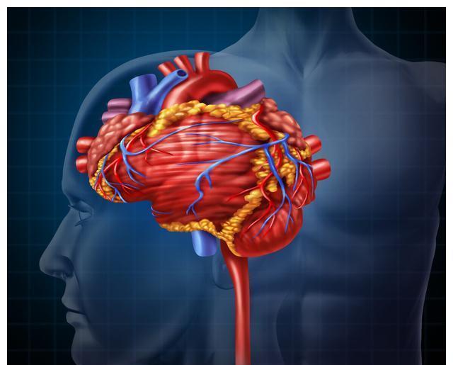 原创辟谣:心脑血管疾病都会相伴发生?心脑血管病也可以单独发生