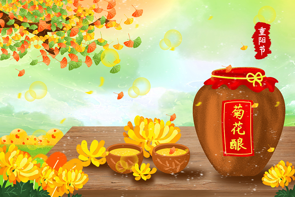 重阳佳节饮菊花酒,是中国的传统习俗.