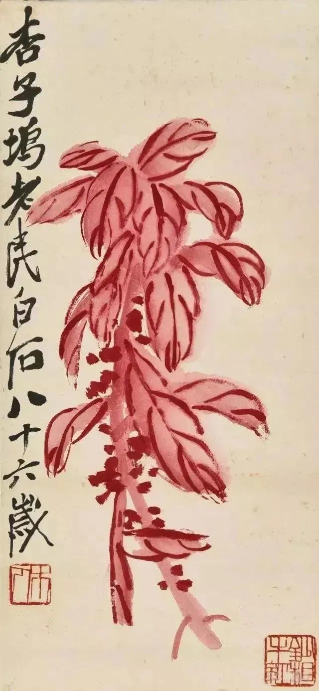 红叶八哥齐白石 红叶鸣秋齐白石 麓山红叶相思虽是写秋天,但在老先生