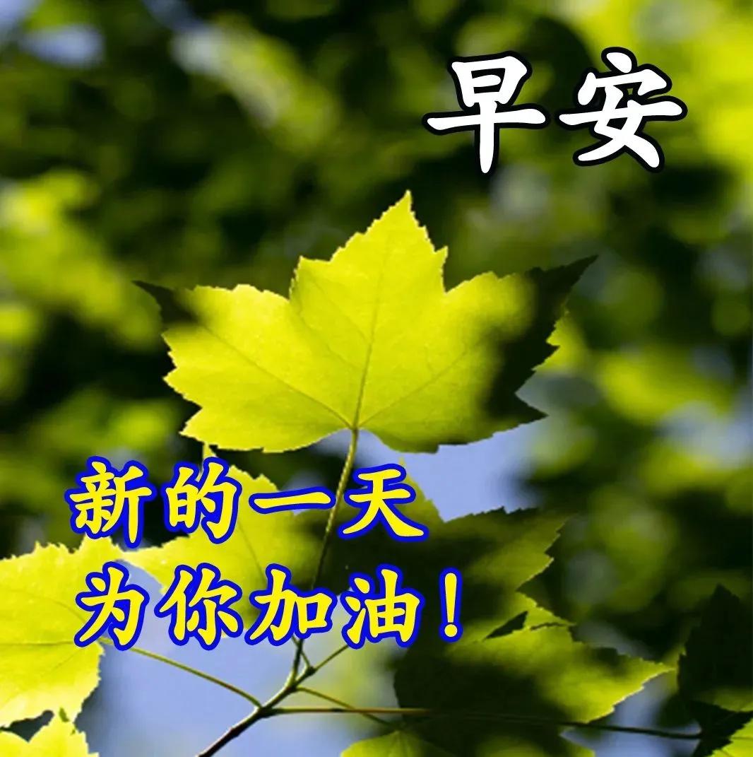 农历九月十二特漂亮早上好图片大全 2021早上好问候语