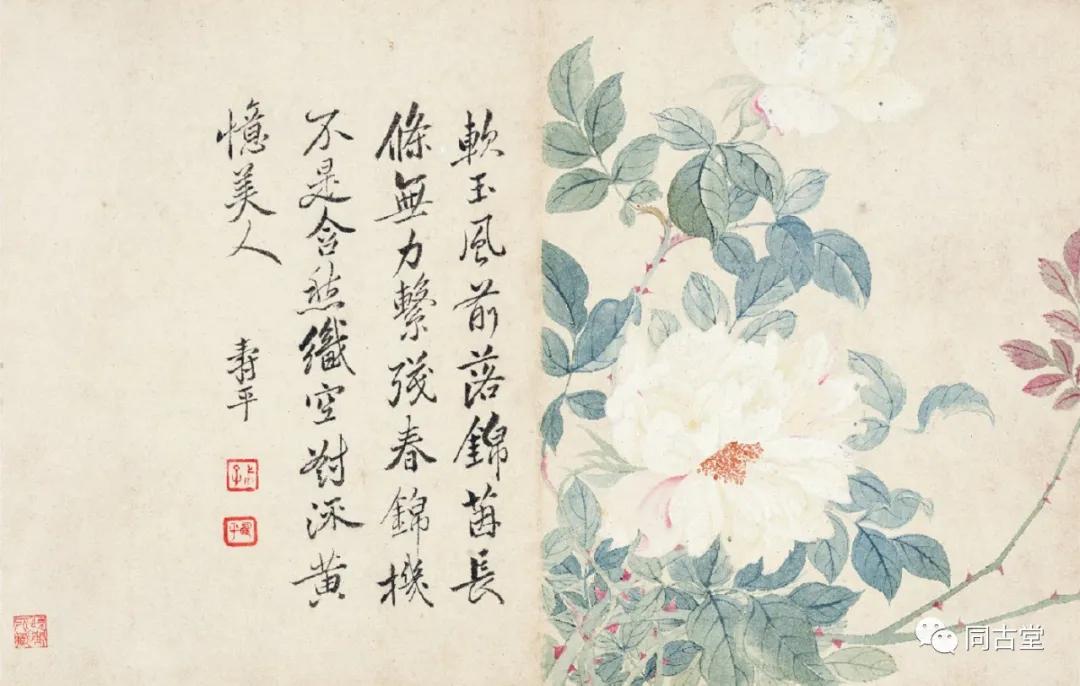 同古堂谁才是吴门画派花鸟画集大成者