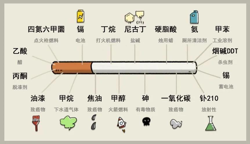 【健康科普】吸烟有害健康,香烟到底有哪些危害?
