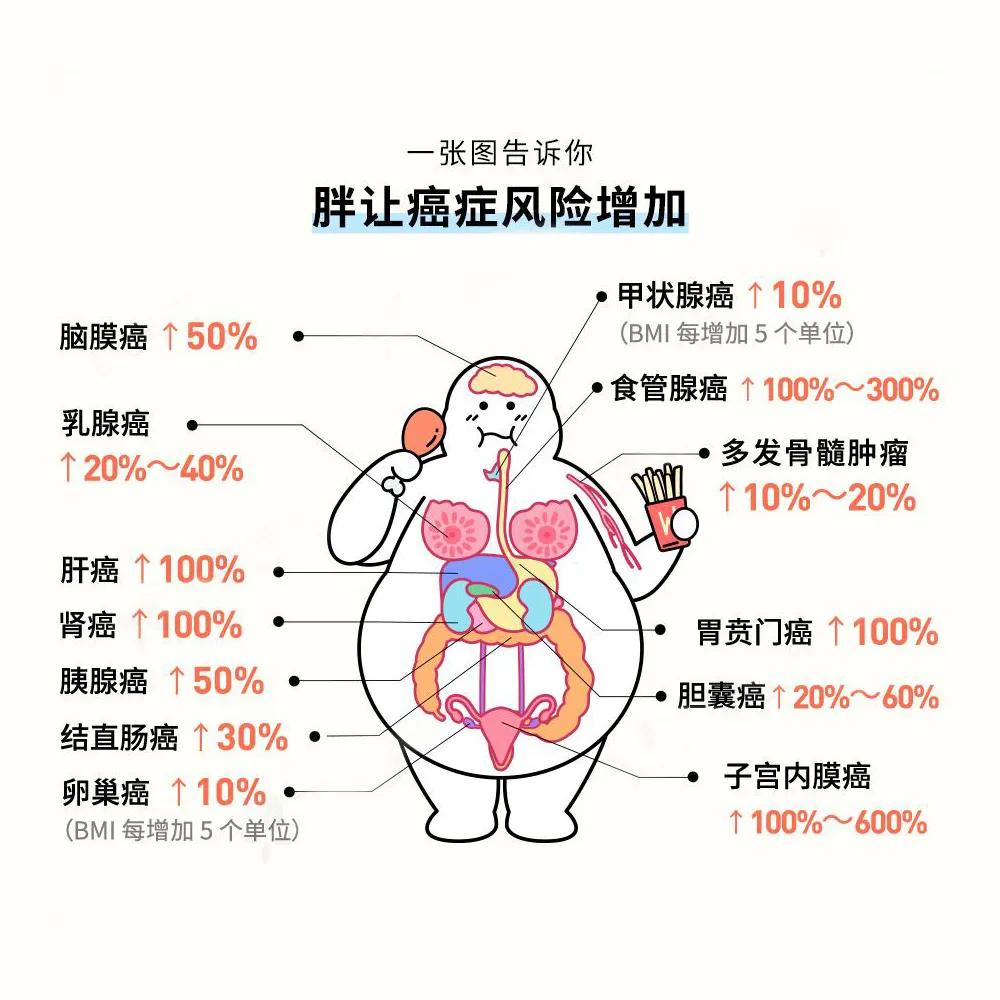 致命肥胖的危害看完你还敢胖吗