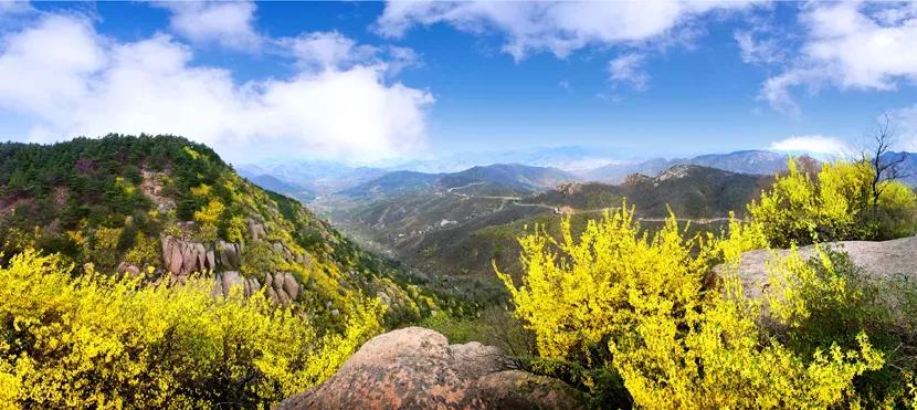 3米,为鲁中最高峰,公园面积42平方公里,是博山风景旅游区的重要景区.