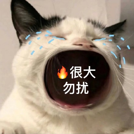 猫咪张大嘴哭大嘴猫表情包