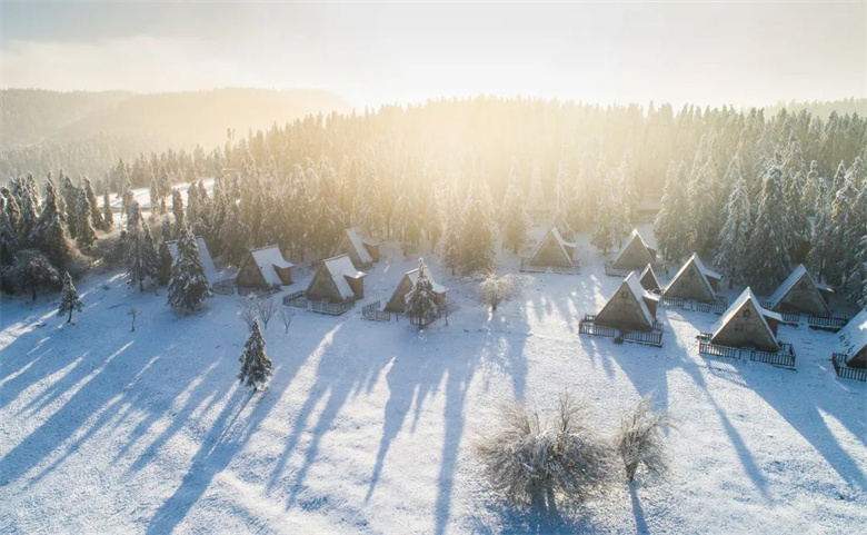 已立冬,你期盼的仙女山雪景正在赶来的路上_武隆仙女山