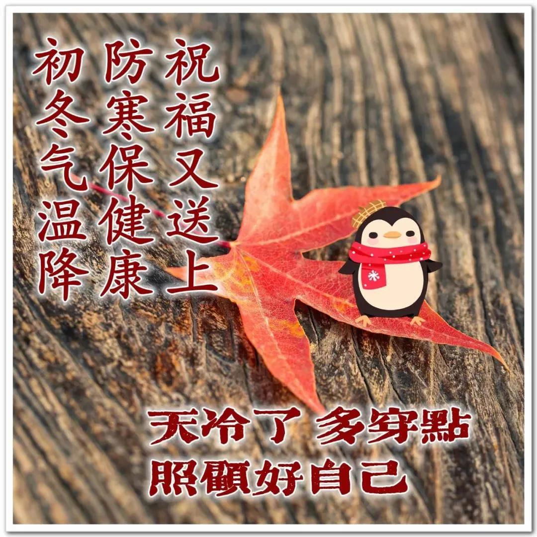 原创8张最新清新漂亮冬日早上好祝福图片带字温馨好看的冬天风景早安