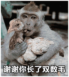 近期斗图表情包精选