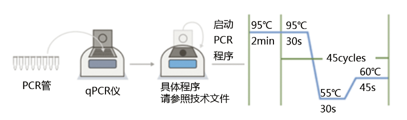 支原体qpcr检测试剂盒的特点及操作步骤