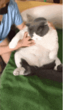 搞笑gif趣图:已经做过好几站了,怎么办?在线等!_太阳