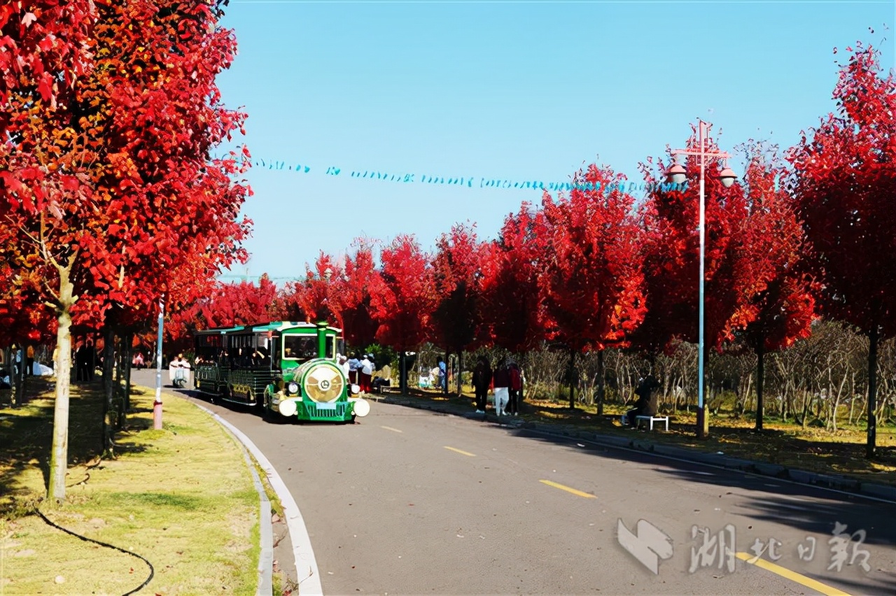 "四园两林一花谷"的人文景观,美丽的田园风光,拓展了农业休闲旅游功能