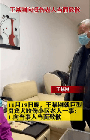 安阳狗伤人事件:老人被咬后狗主人两个月才上门道歉,现已被停职