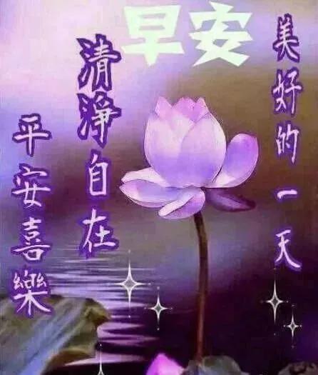 十一月漂亮的疫情早上好祝福语带图片 微信早安动态免