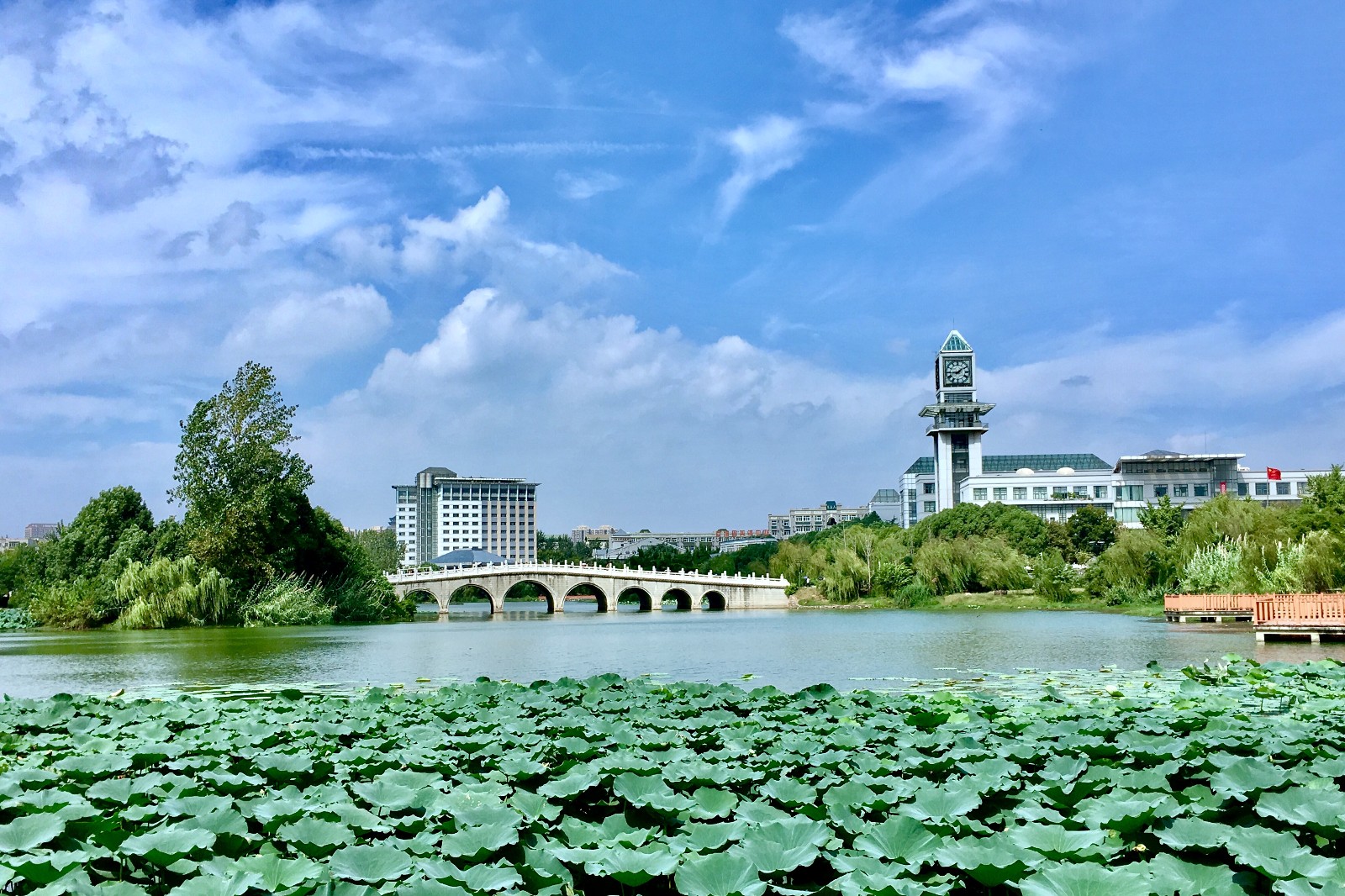 原创中南财经政法大学:从河南迁到武汉后,实力和名气一路攀升